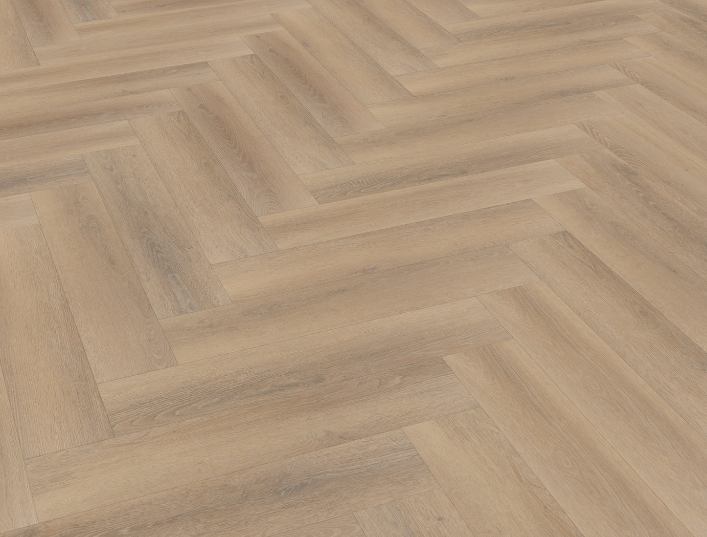 Belakos – Palazzo Visgraat XL 76 - Clickvariant