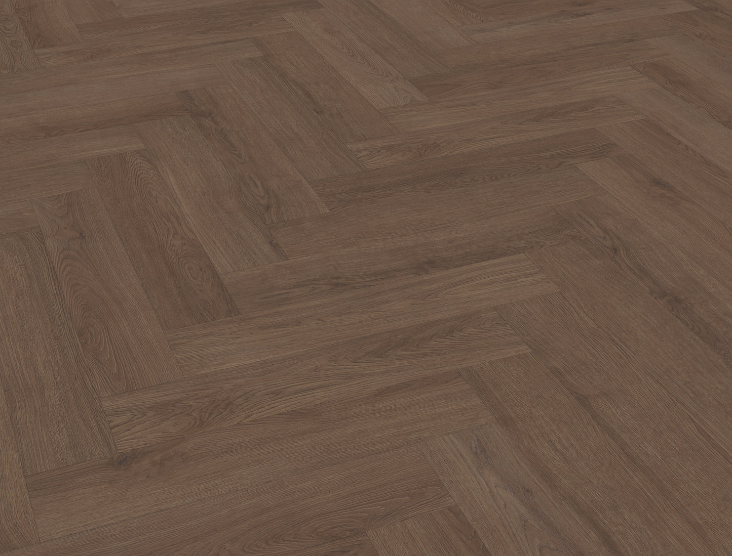 Belakos – Monastro Visgraat XL 90 - Lijmvariant