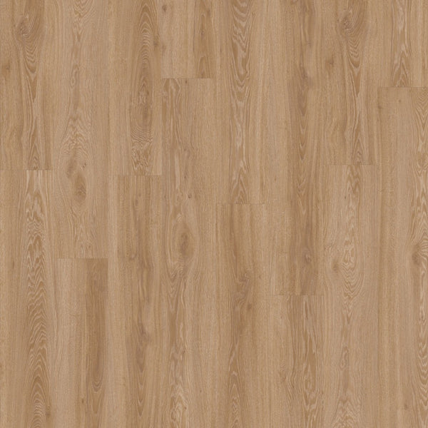 Moduleo Blackjack Oak 22450 Click PVC vloer